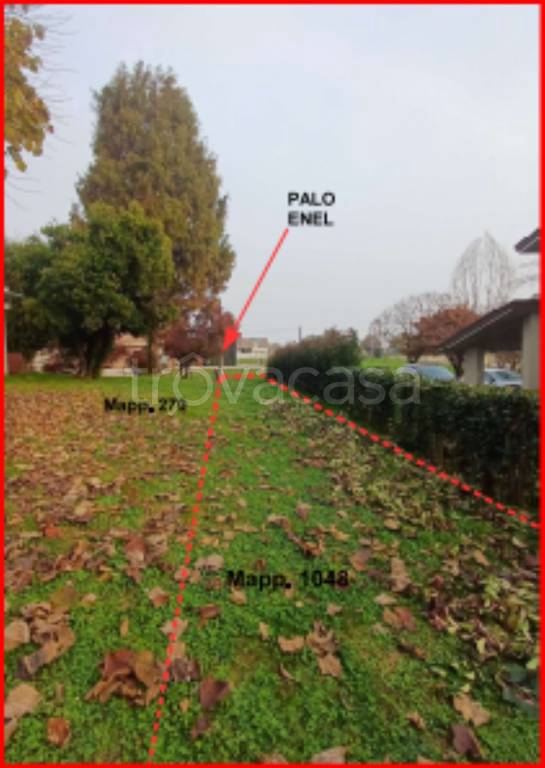 immagine annuncio 4 di 11