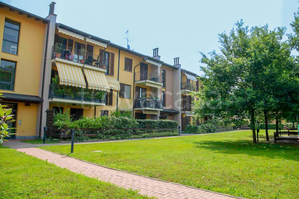 immagine annuncio 1 di 15