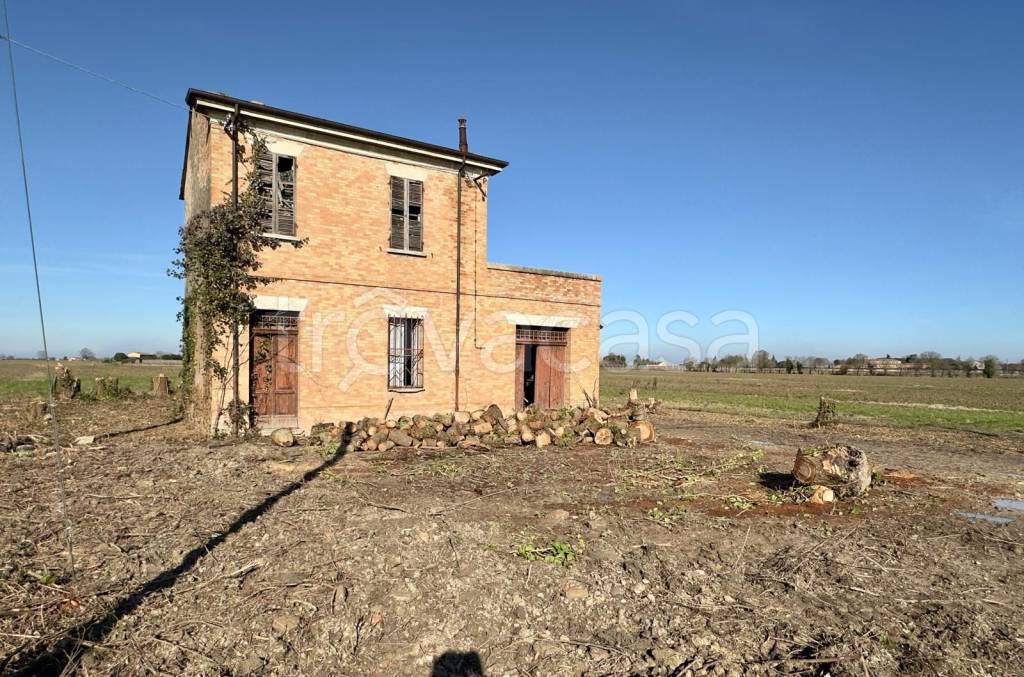 immagine annuncio 12 di 14