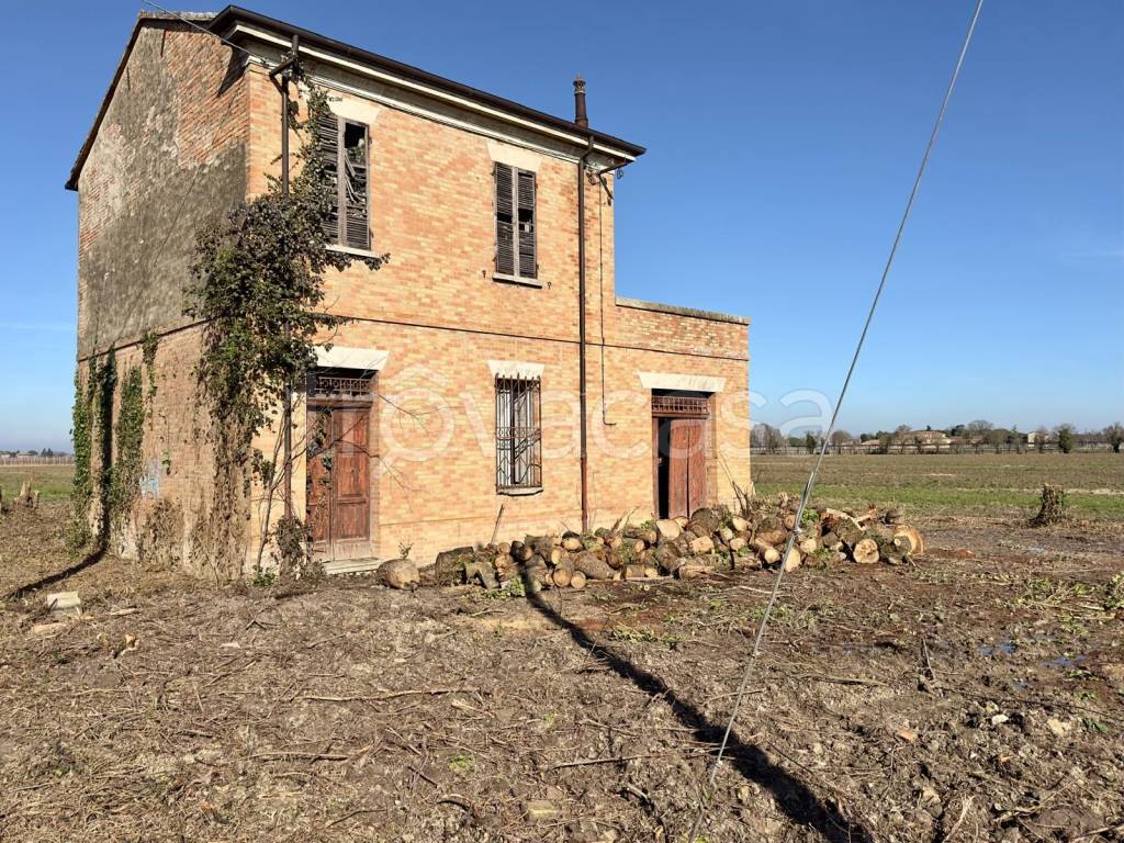 immagine annuncio 4 di 14