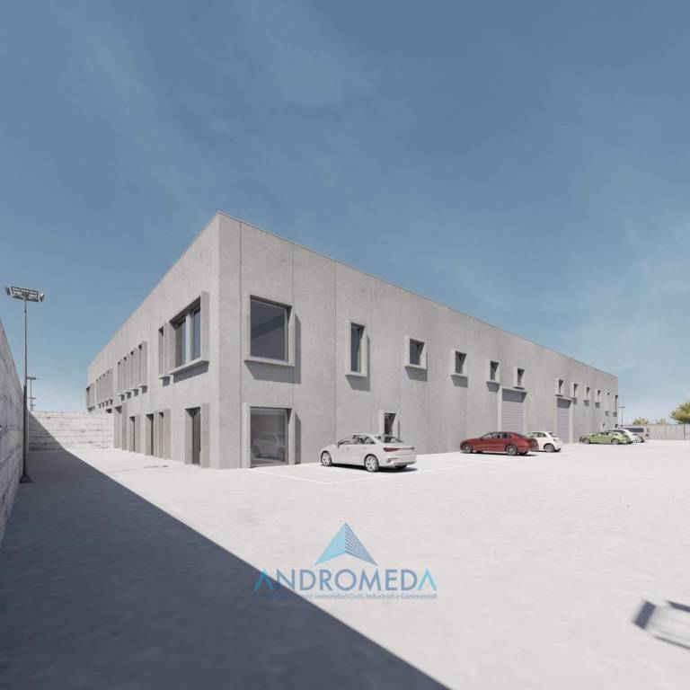 immagine annuncio 3 di 9