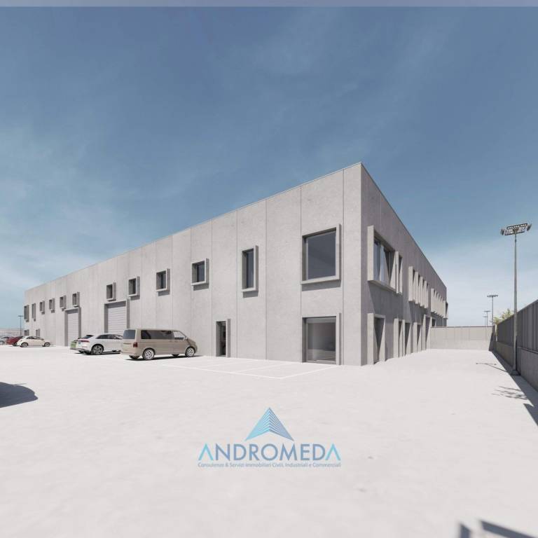 immagine annuncio 4 di 9