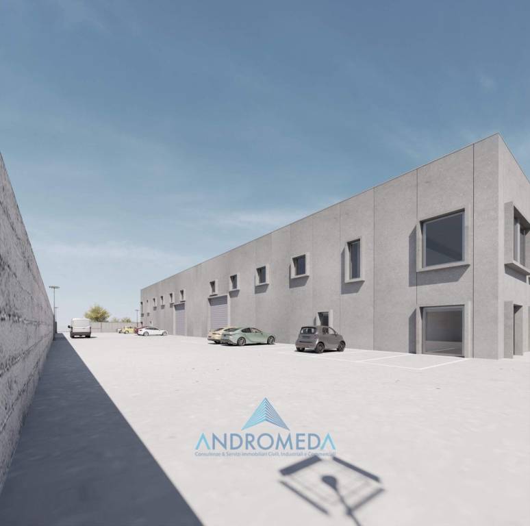 immagine annuncio 5 di 9