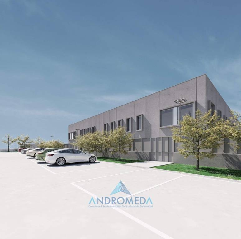 immagine annuncio 6 di 9