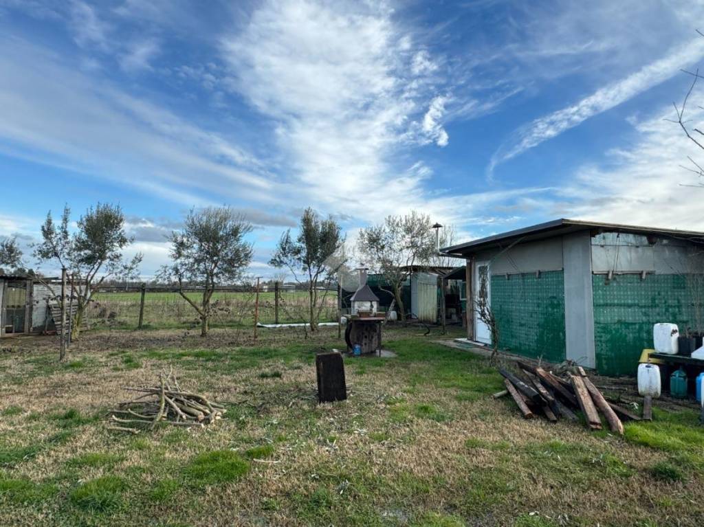 immagine annuncio 2 di 7