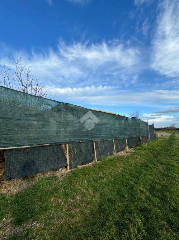 immagine annuncio 4 di 7