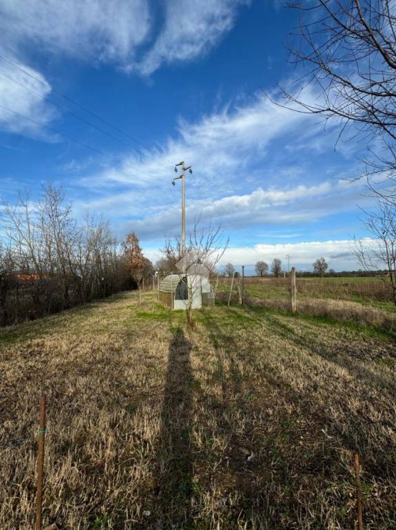 immagine annuncio 5 di 7