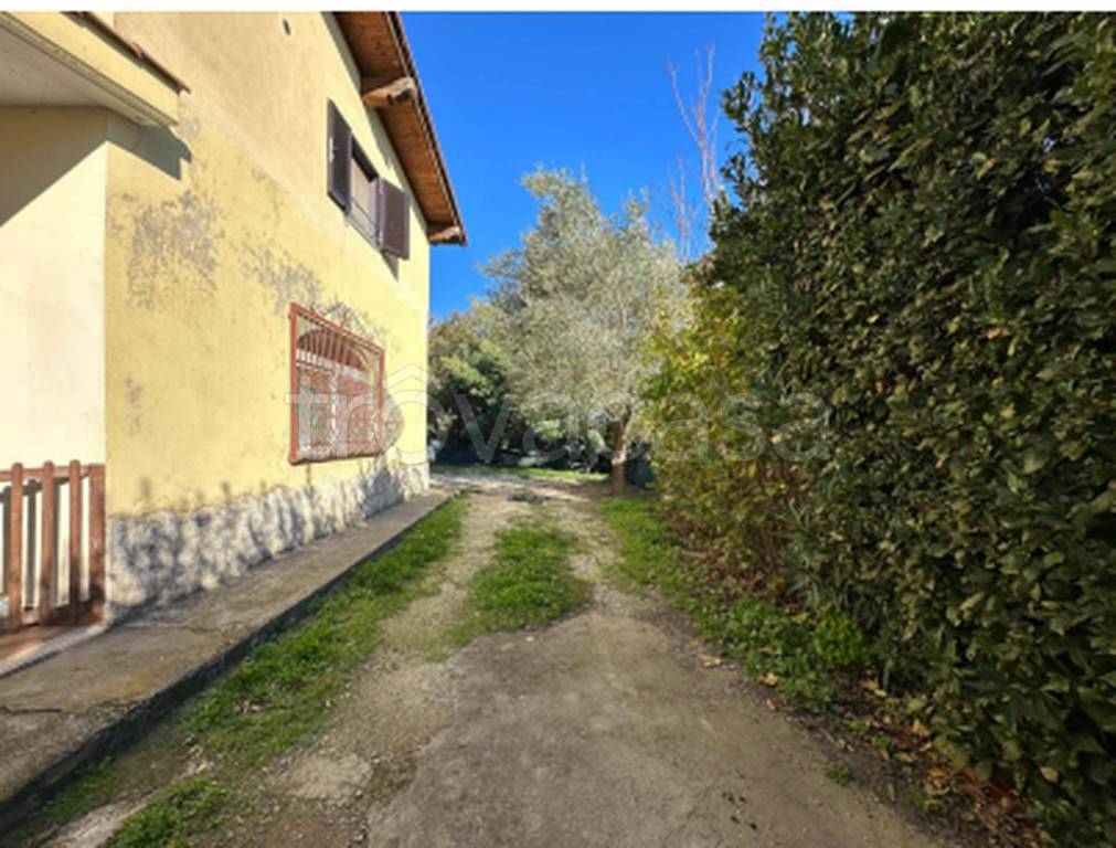 immagine annuncio 7 di 12