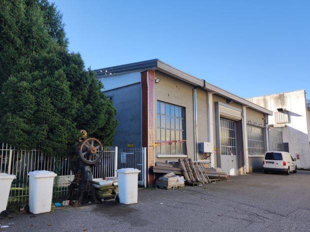 immagine annuncio 1 di 15