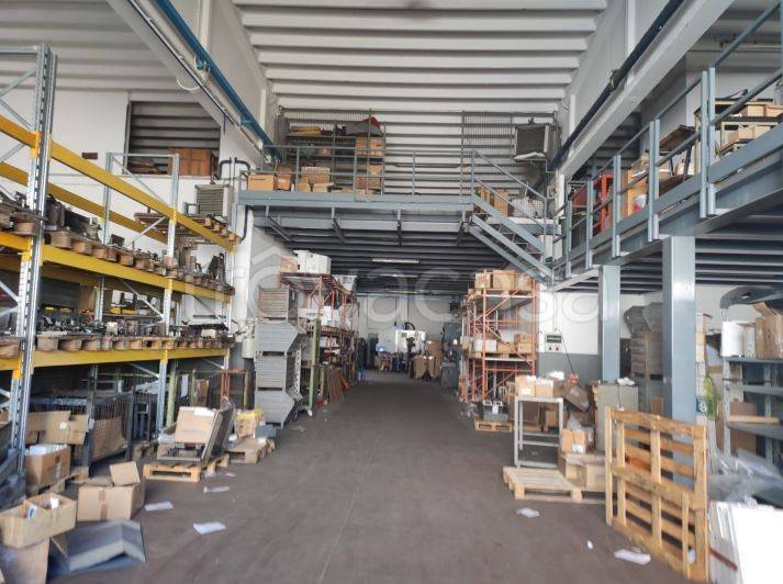 immagine annuncio 4 di 15