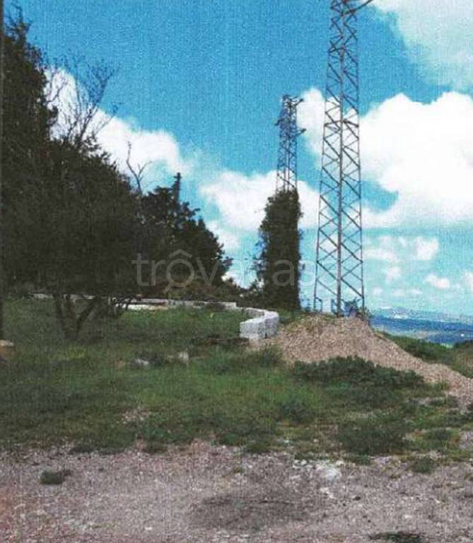 immagine annuncio 10 di 12