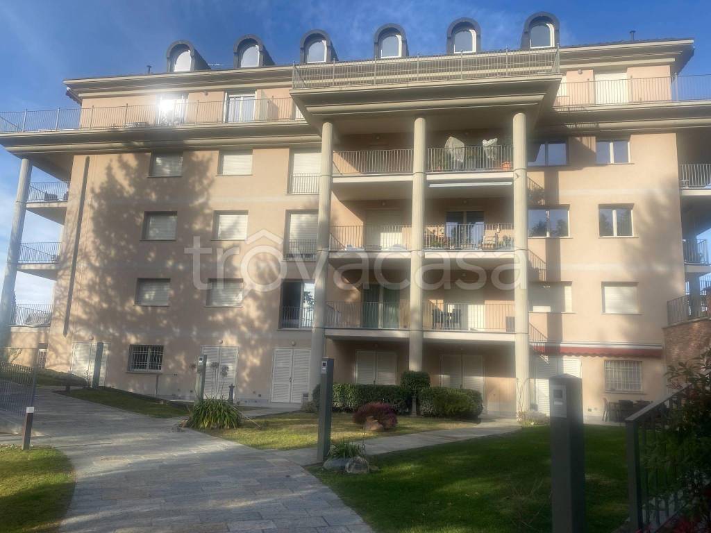 immagine annuncio 5 di 15