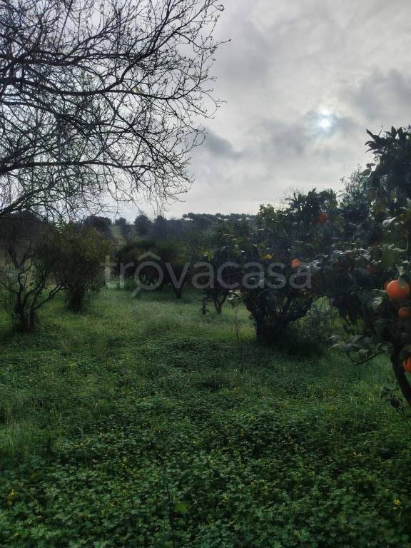 immagine annuncio 4 di 7