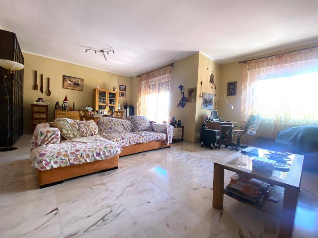 immagine annuncio 2 di 12