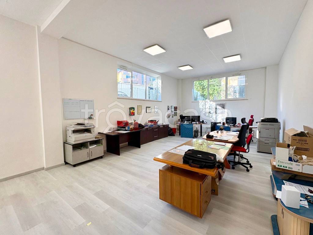 immagine annuncio 5 di 14