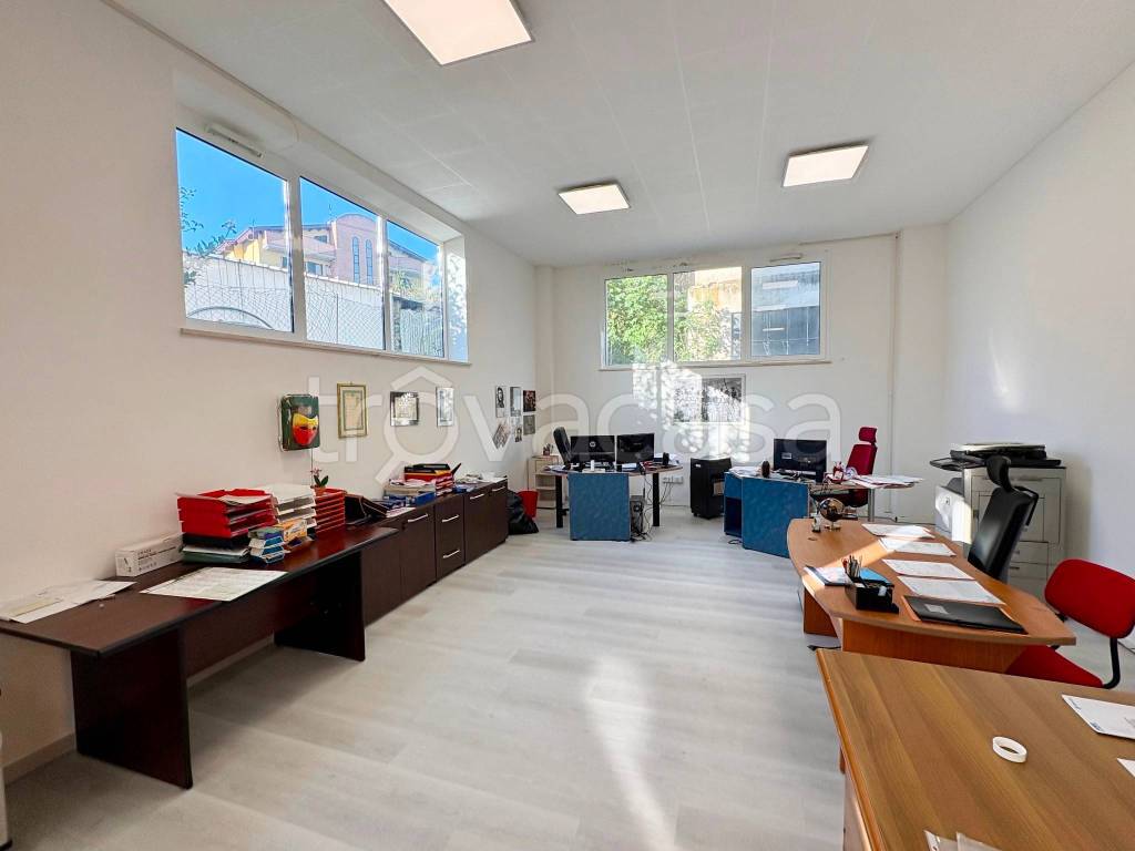 immagine annuncio 6 di 14