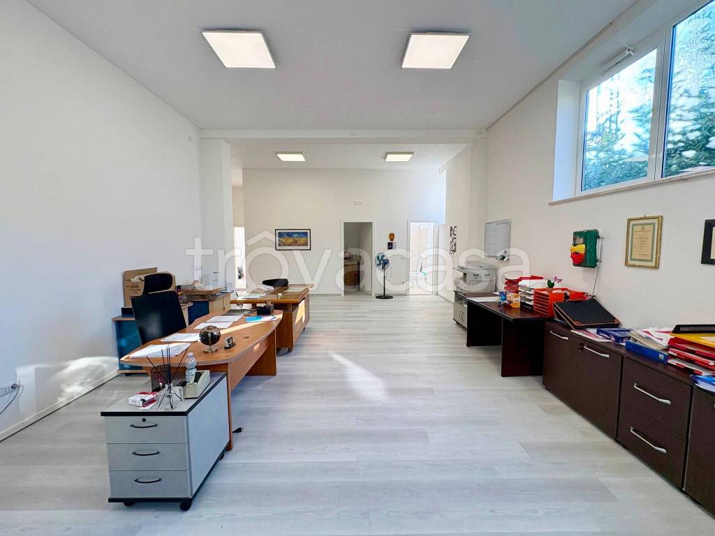 immagine annuncio 7 di 14