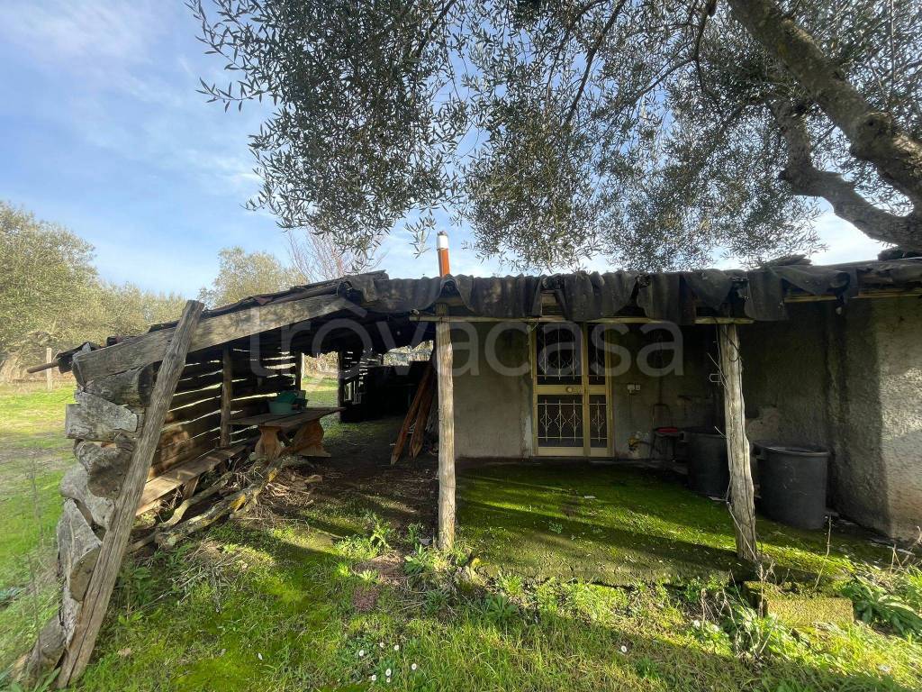 immagine annuncio 8 di 13