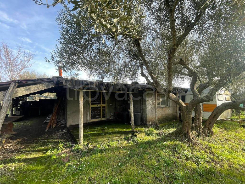 immagine annuncio 9 di 13