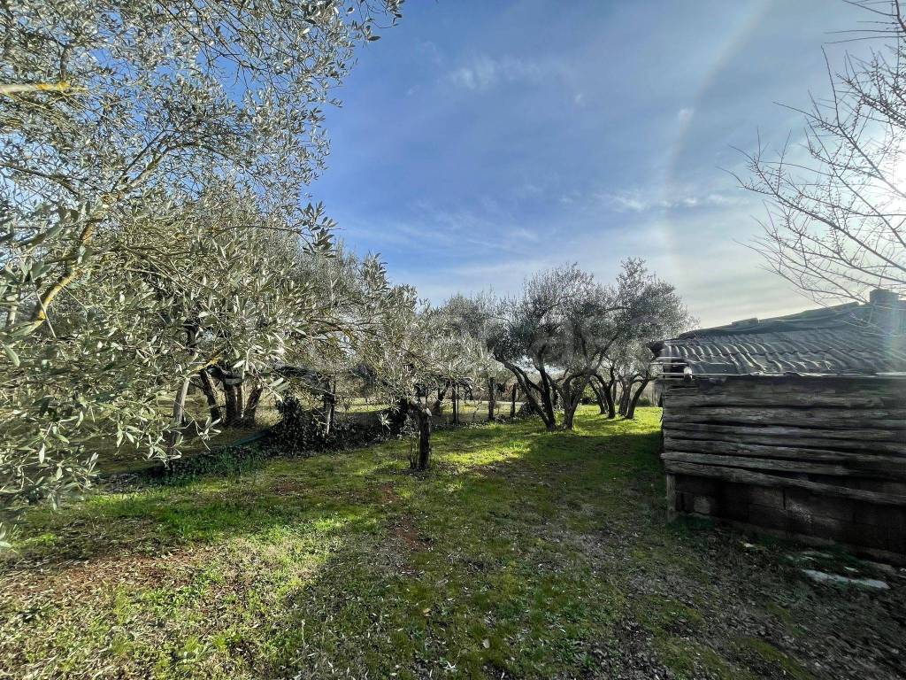 immagine annuncio 1 di 13