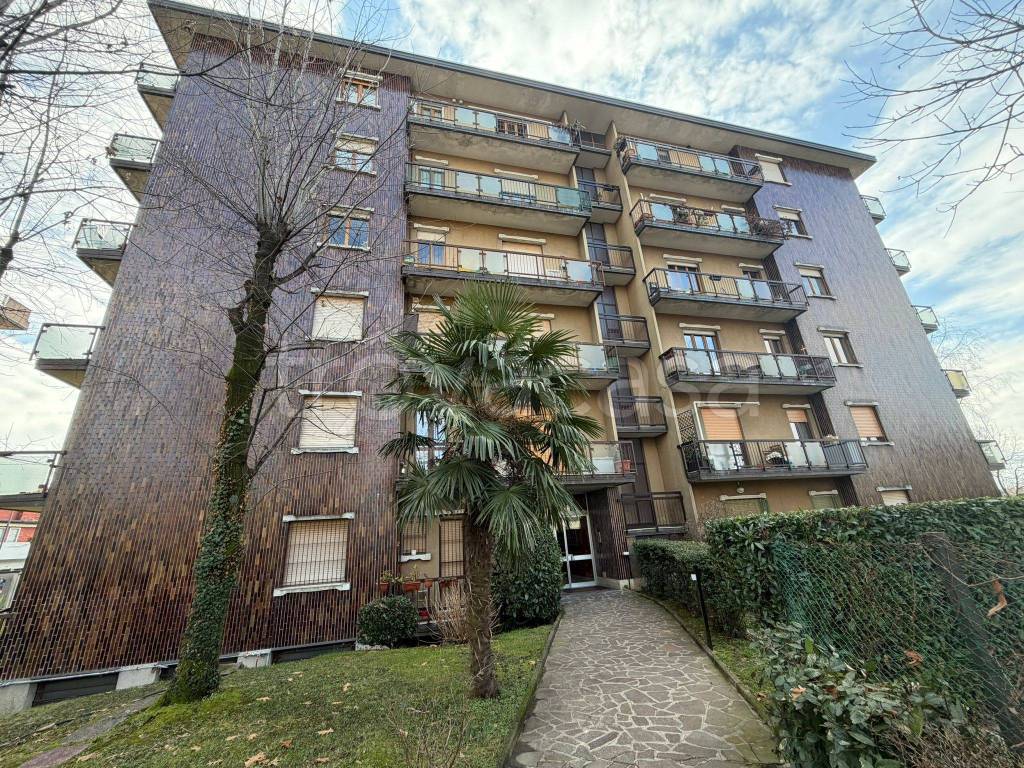 immagine annuncio 10 di 11