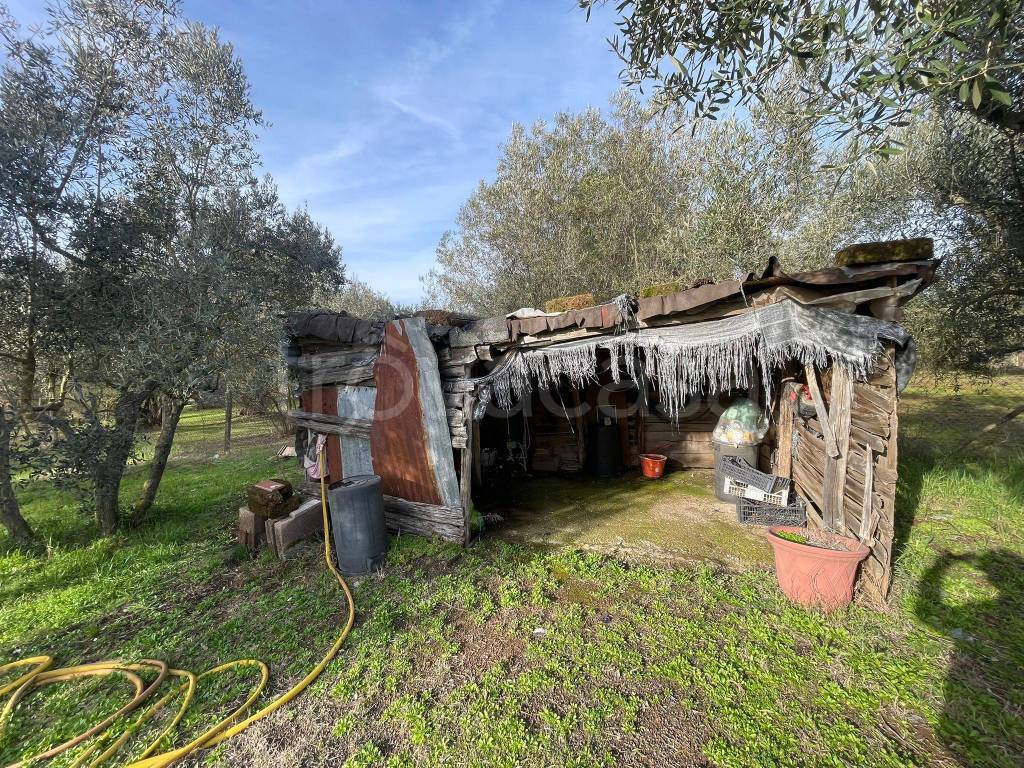 immagine annuncio 2 di 13