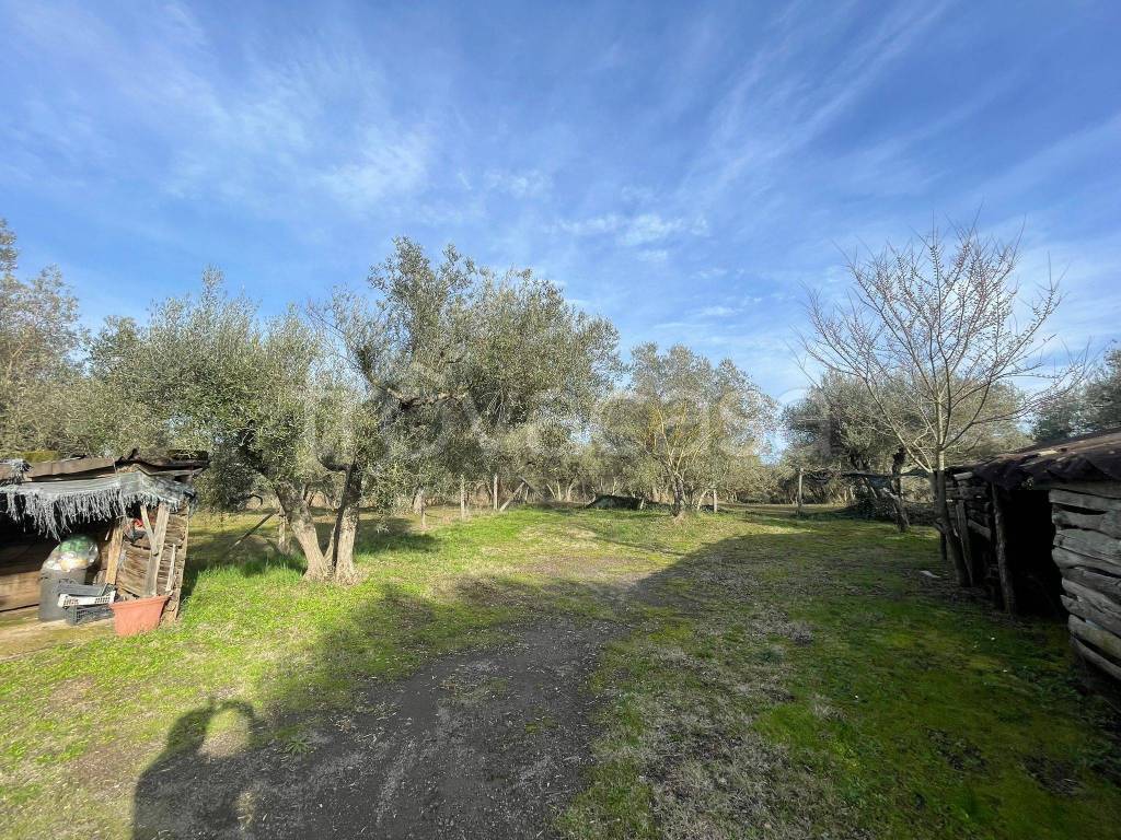 immagine annuncio 3 di 13