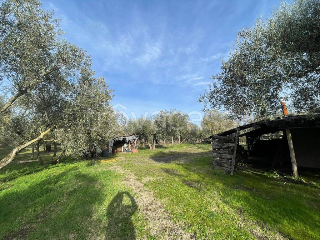 immagine annuncio 4 di 13