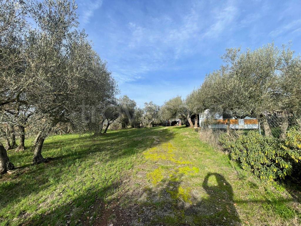 immagine annuncio 7 di 13