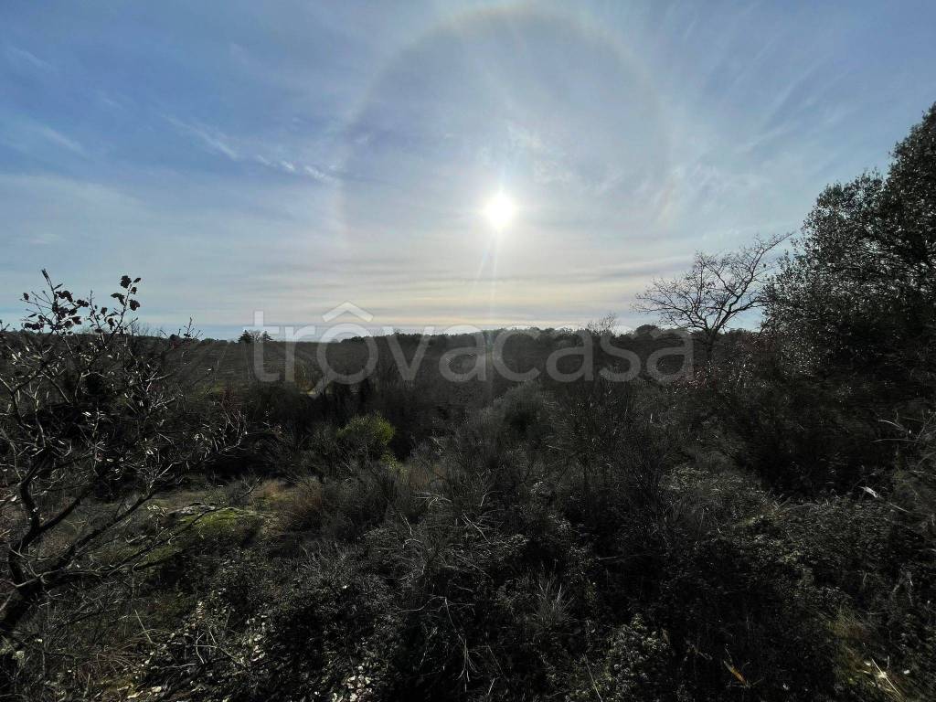 immagine annuncio 11 di 13