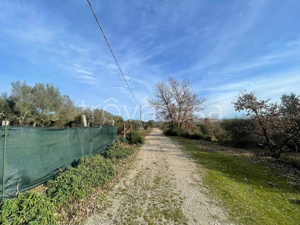 immagine annuncio 10 di 13