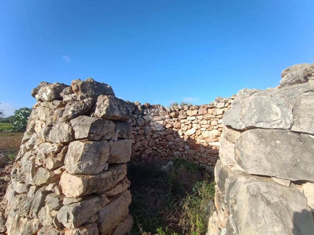 immagine annuncio 5 di 12