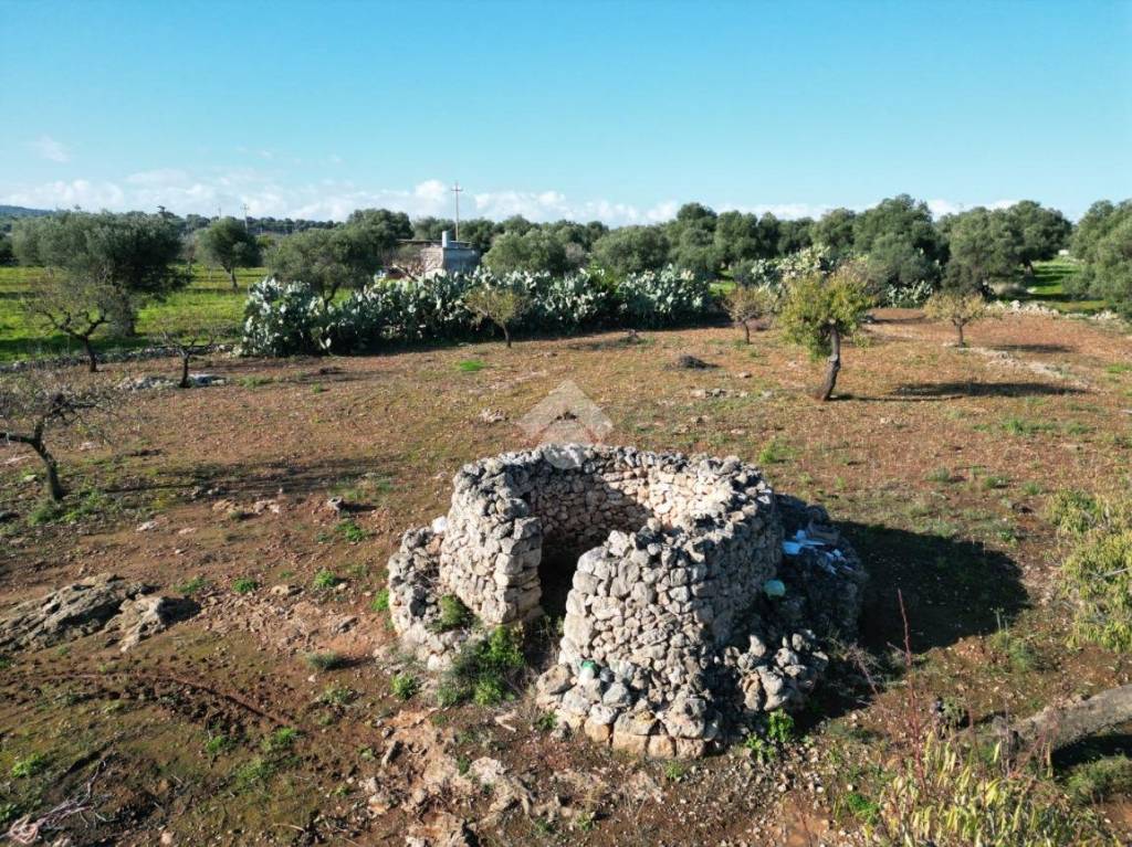 immagine annuncio 6 di 12