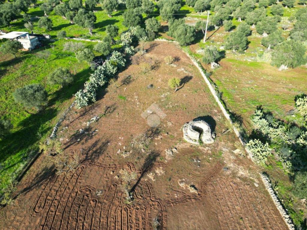 immagine annuncio 9 di 12