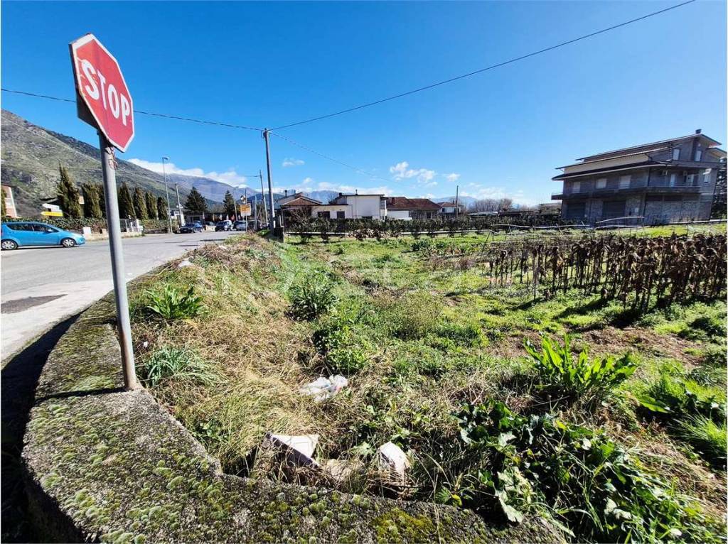 immagine annuncio 1 di 8