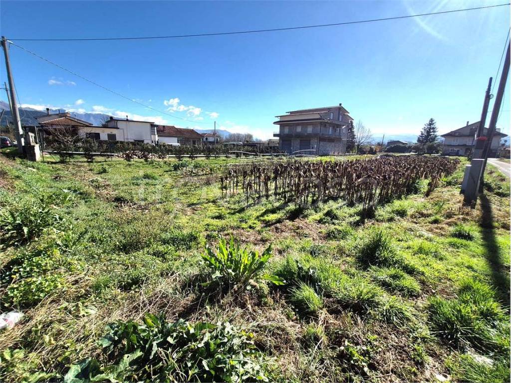 immagine annuncio 2 di 8