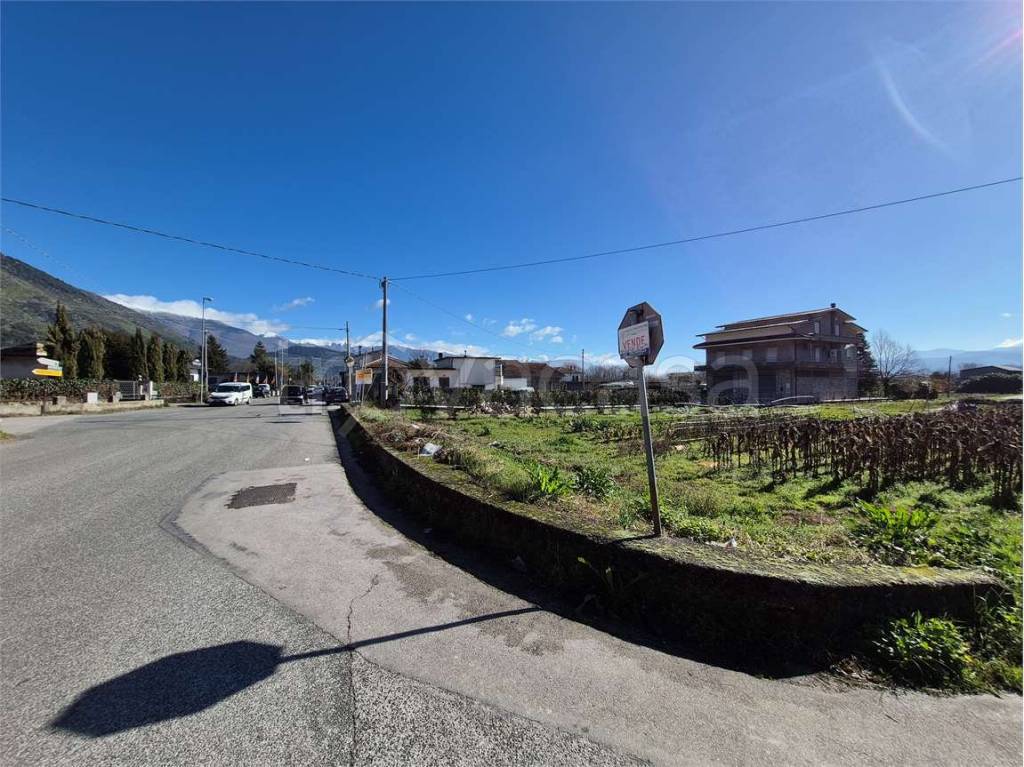 immagine annuncio 5 di 8