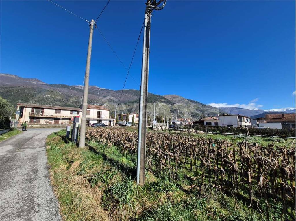 immagine annuncio 7 di 8