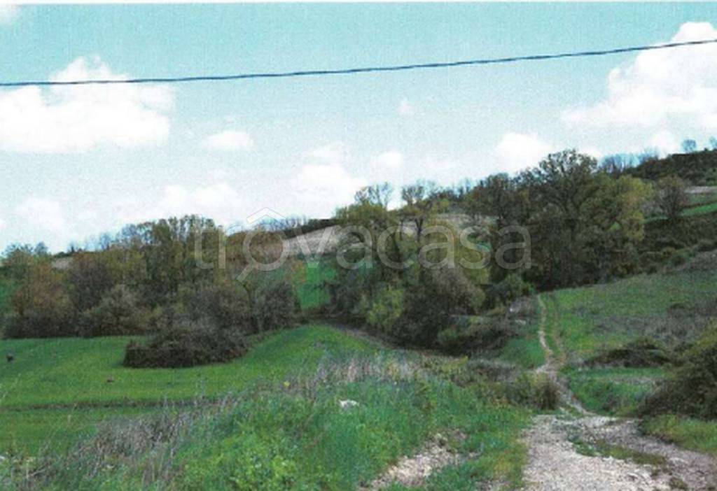 immagine annuncio 7 di 11