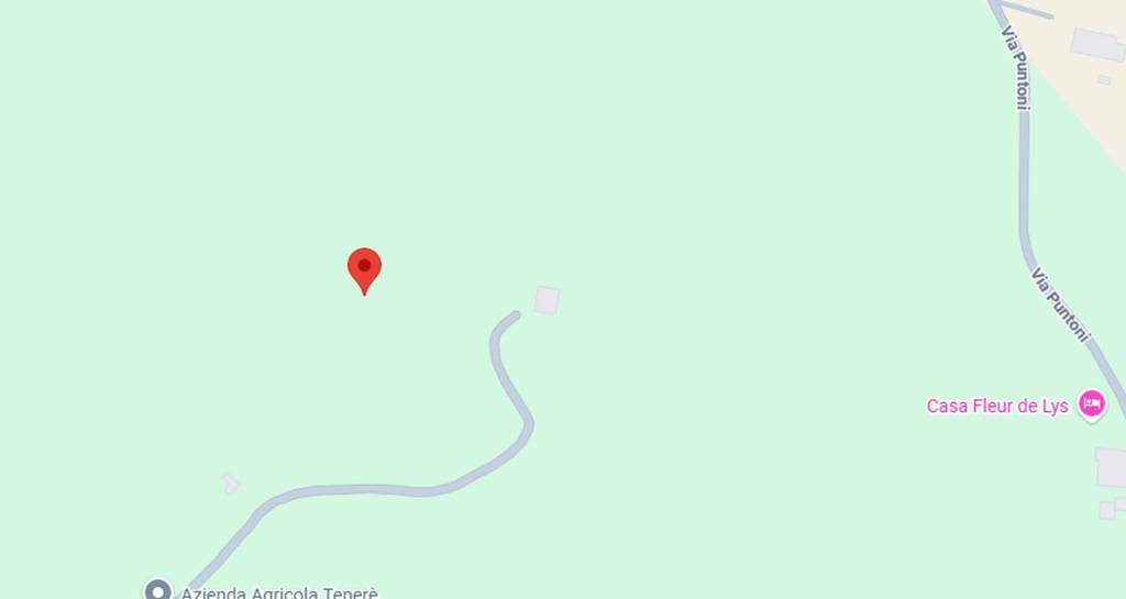 immagine annuncio 3 di 11