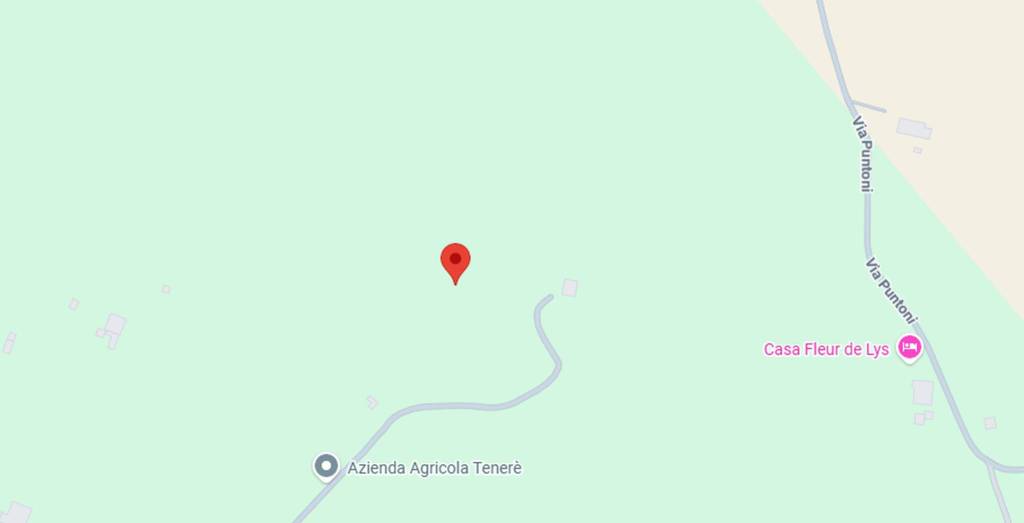 immagine annuncio 5 di 11