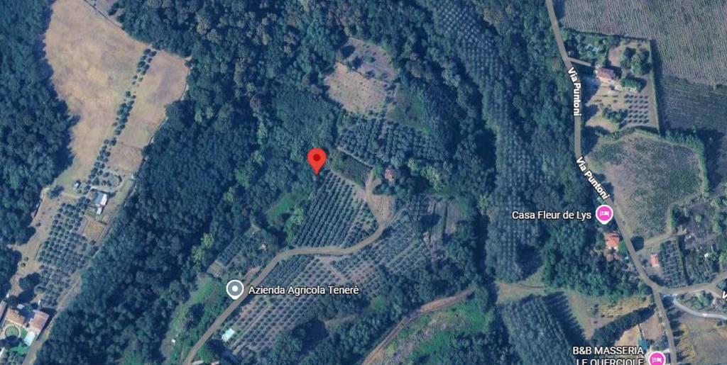 immagine annuncio 6 di 11