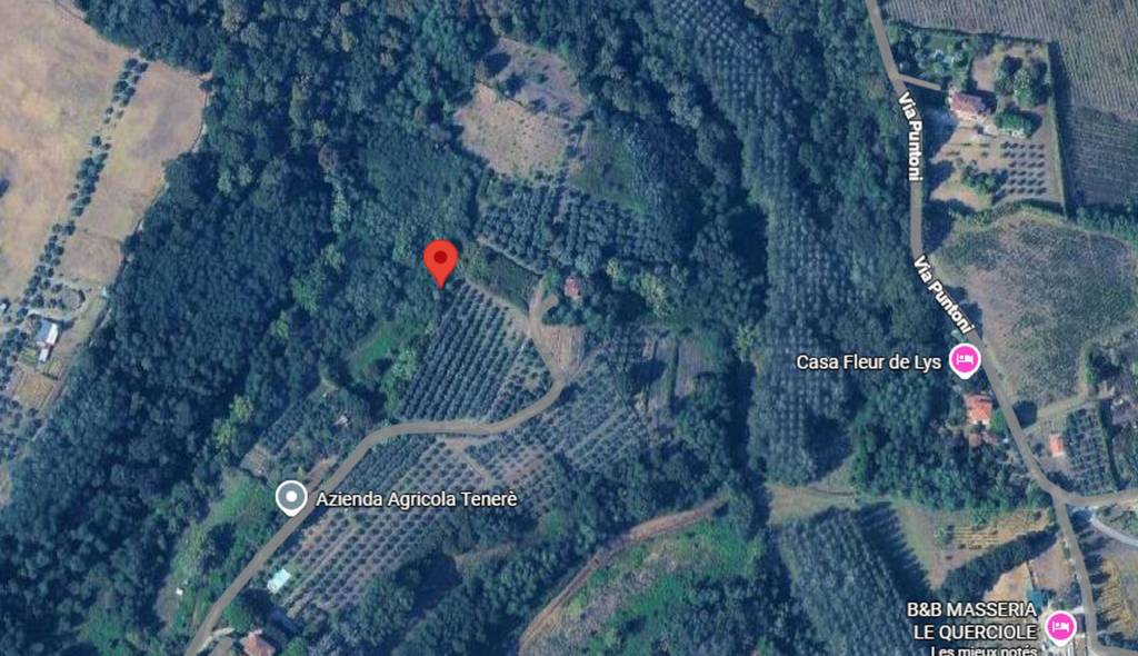 immagine annuncio 7 di 11