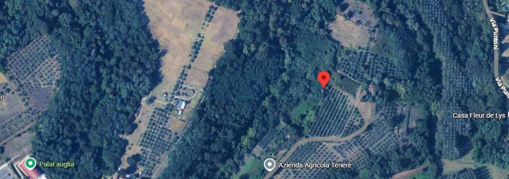 immagine annuncio 8 di 11