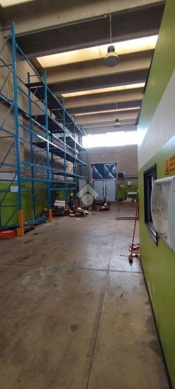 immagine annuncio 11 di 15