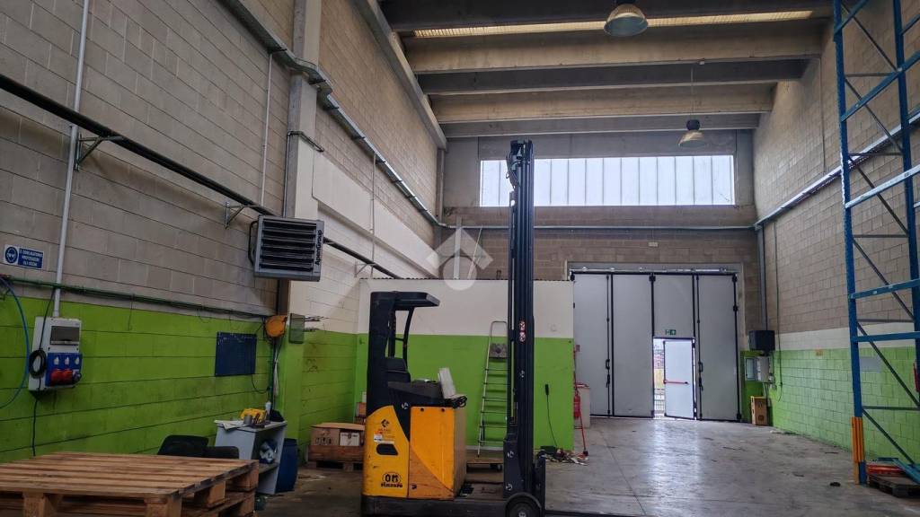 immagine annuncio 14 di 15