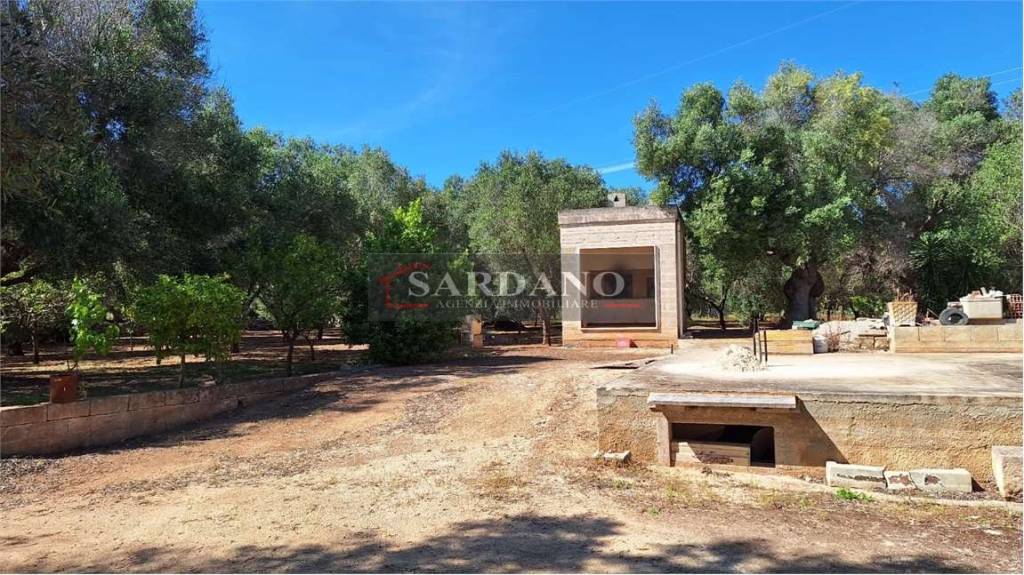 immagine annuncio 4 di 13