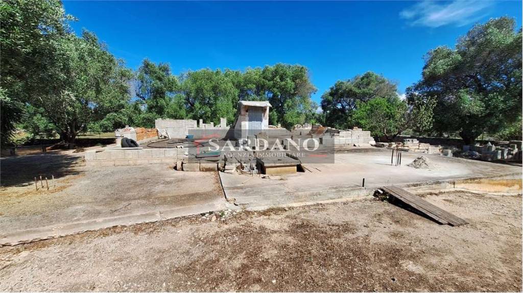 immagine annuncio 9 di 13