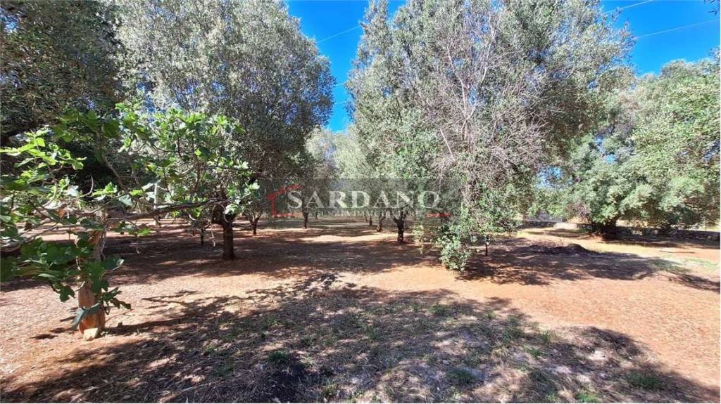 immagine annuncio 12 di 13