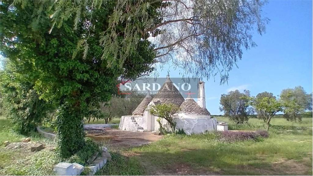 immagine annuncio 5 di 9